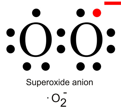 Superoxide anion